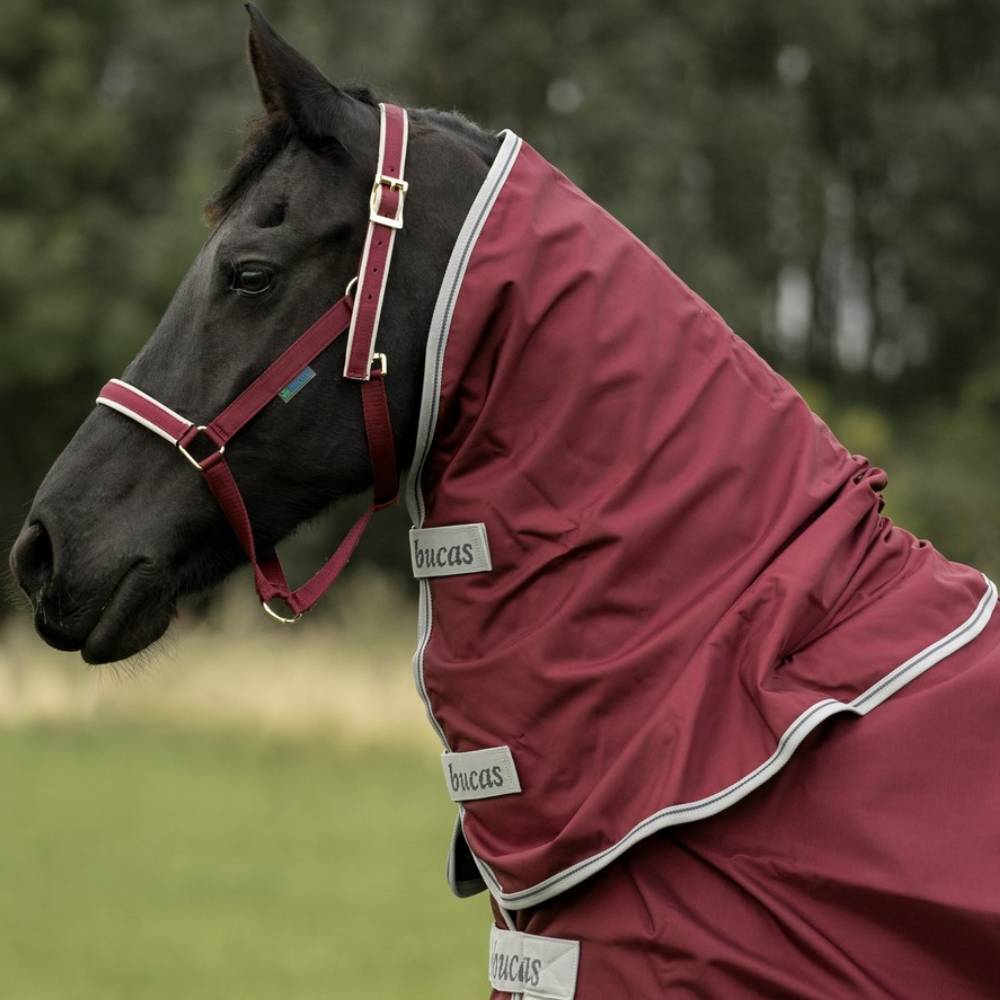 Atlantic Turnout Neck by Bucas