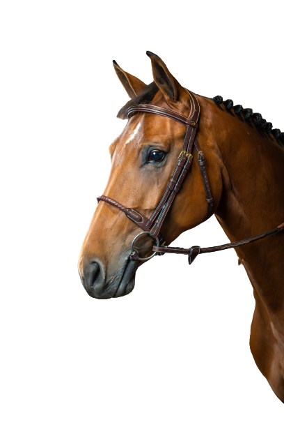 Dy'on Leather Covered Rope Noseband Bridle DYAAAI