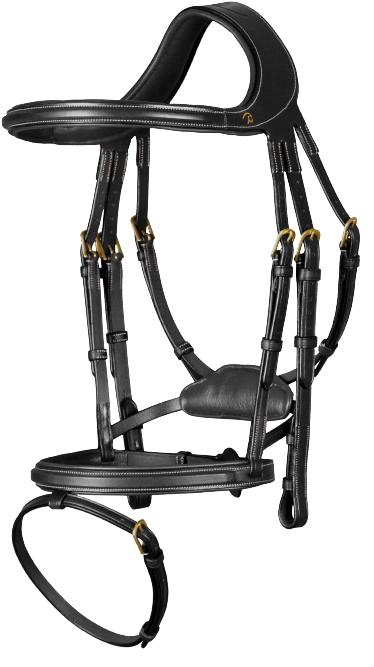 Dy'on Difference Bridle DYGXAU