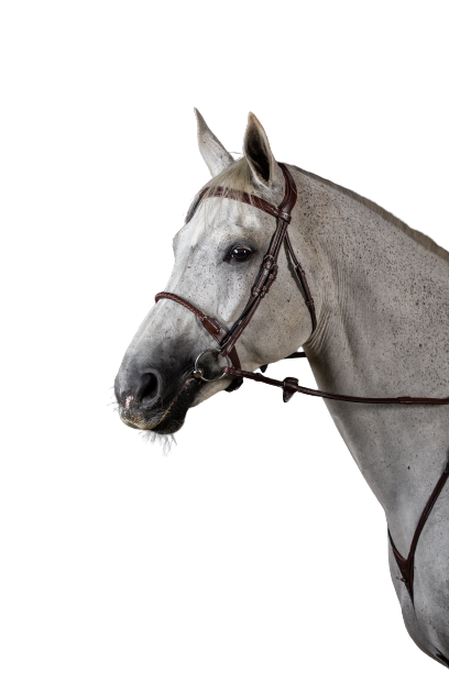 Dy'on New English Leather Covered Rope Noseband Bridle NEAAAI