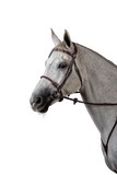 Dy'on New English Leather Covered Rope Noseband Bridle NEAAAI
