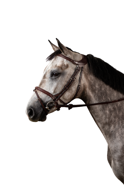 Dy'on New English Difference Bridle NEGXAU