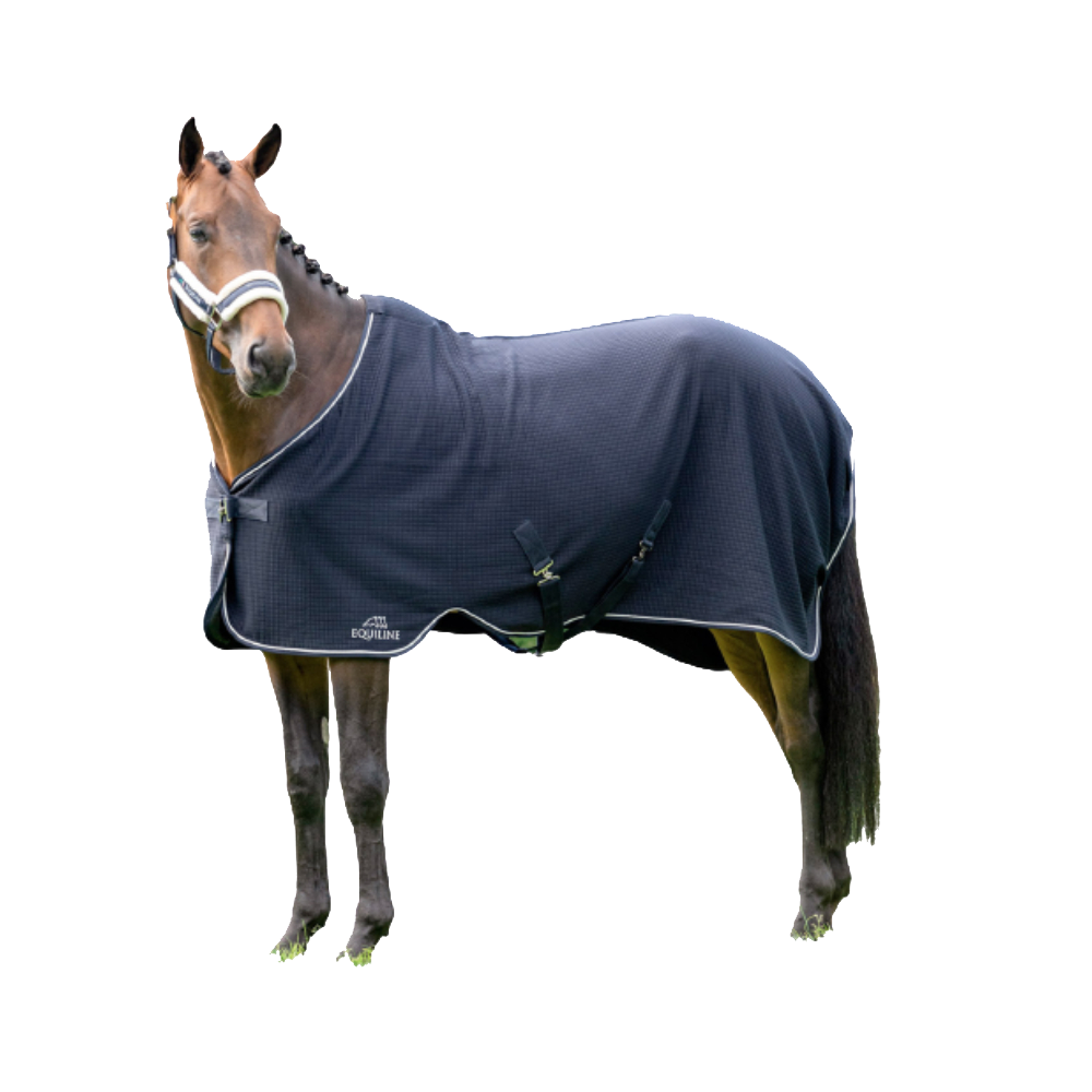 Climate Control Walking Rug with External Surcingle by Equiline