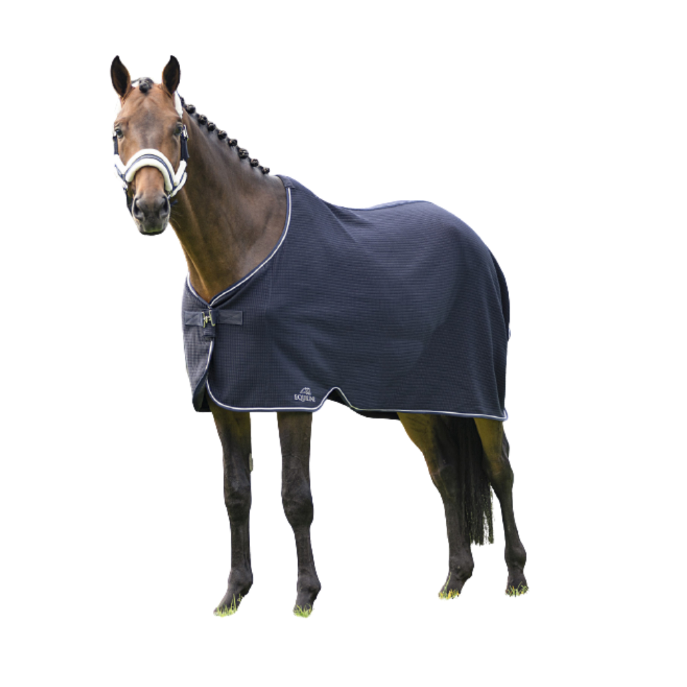 Climate Control Walking Rug without Surcingle by Equiline