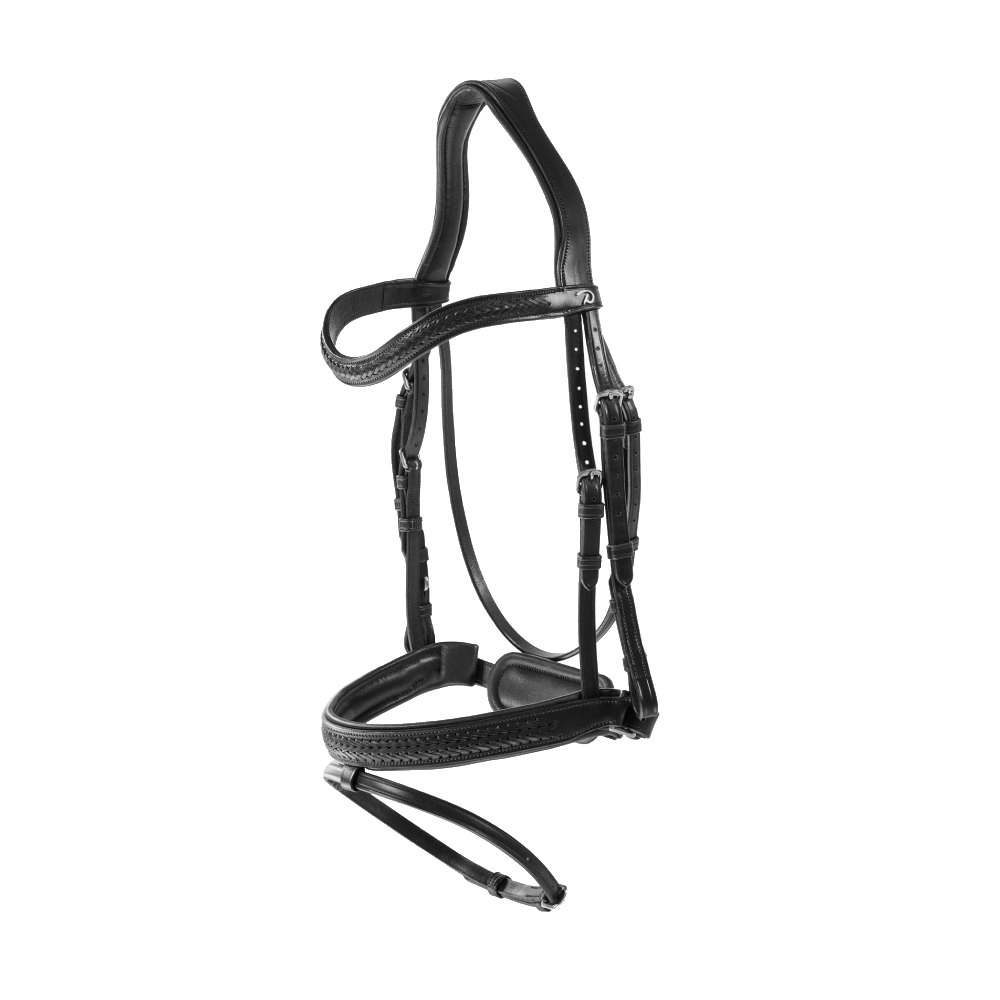 Dy'on Plaited Flash Noseband Bridle with Pull back NEAJAZ