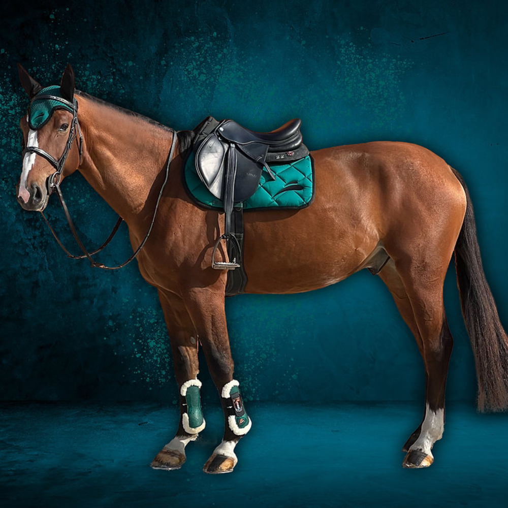 Saddle Pad by eQuick