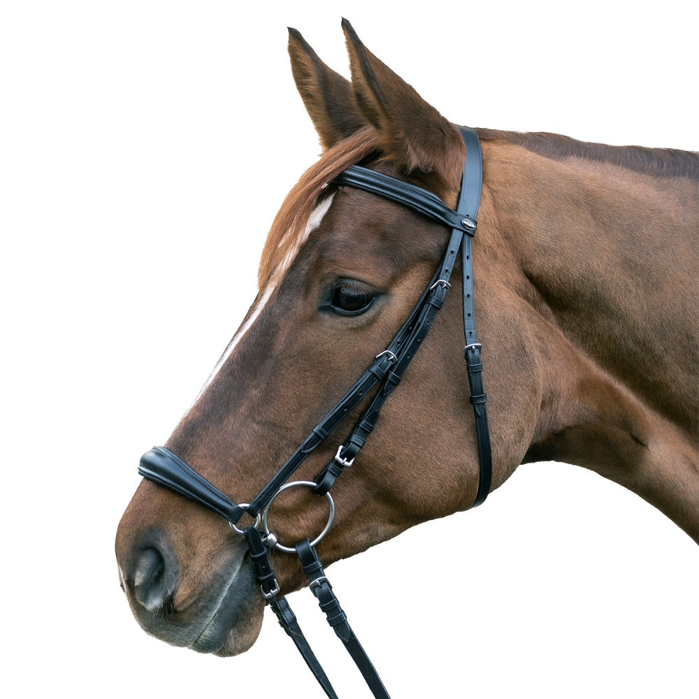 STAR HANNOVER Bridle by Waldhausen