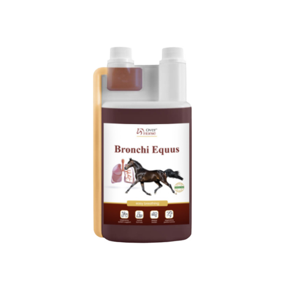 Over Horse Bronchi Equus