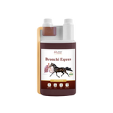 Over Horse Bronchi Equus