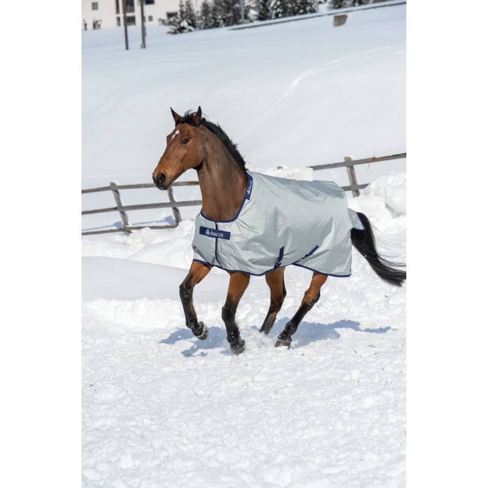 Power Turnout Rug by Bucas