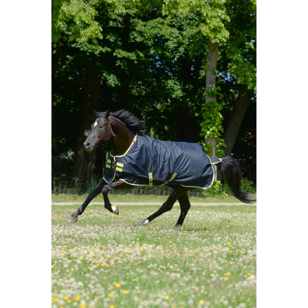Oasis Turnout Rug with Neck by Bucas