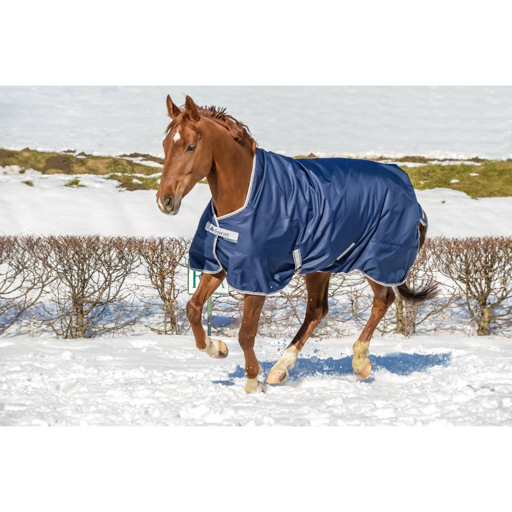 Freedom Turnout Rug with High Neck by Bucas