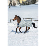 Power Turnout Rug by Bucas