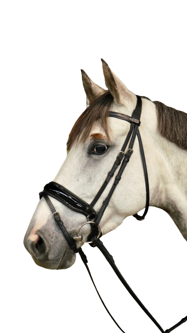 Dy'on Large Crank Noseband Bridle with Flash WODCAM/N/O
