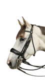 Dy'on Large Crank Noseband Double Bridle WOECAR/S/T