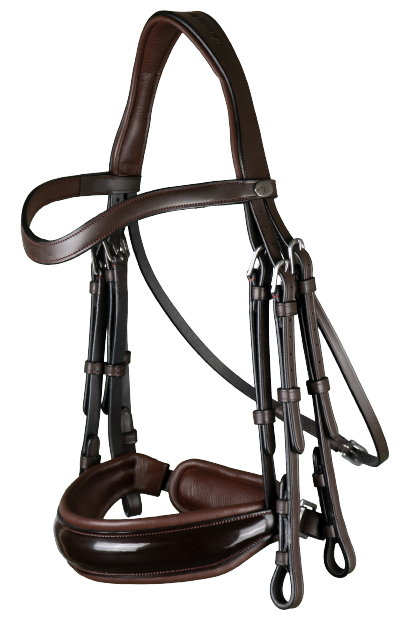 Dy'on Large Crank Noseband Double Bridle WOECAR/S/T