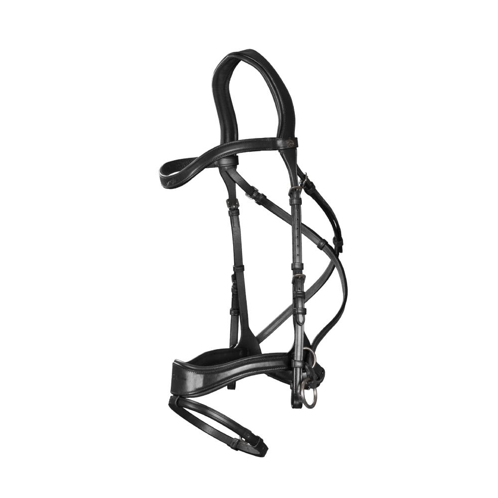 Dy'on New English D Motion Bridle NECCCW