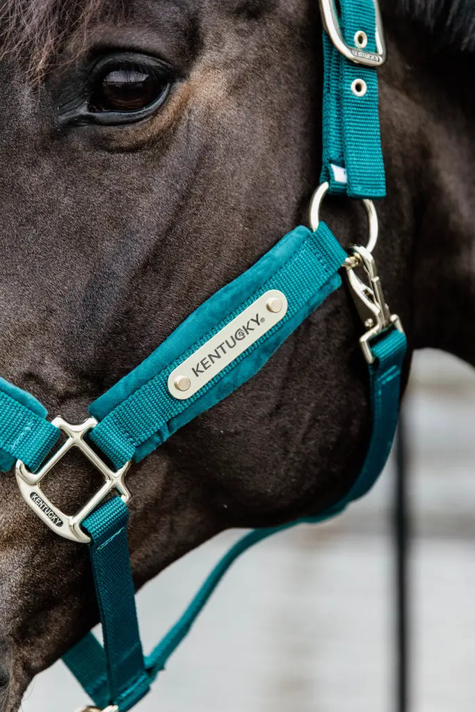 Velvet Halter by Kentucky