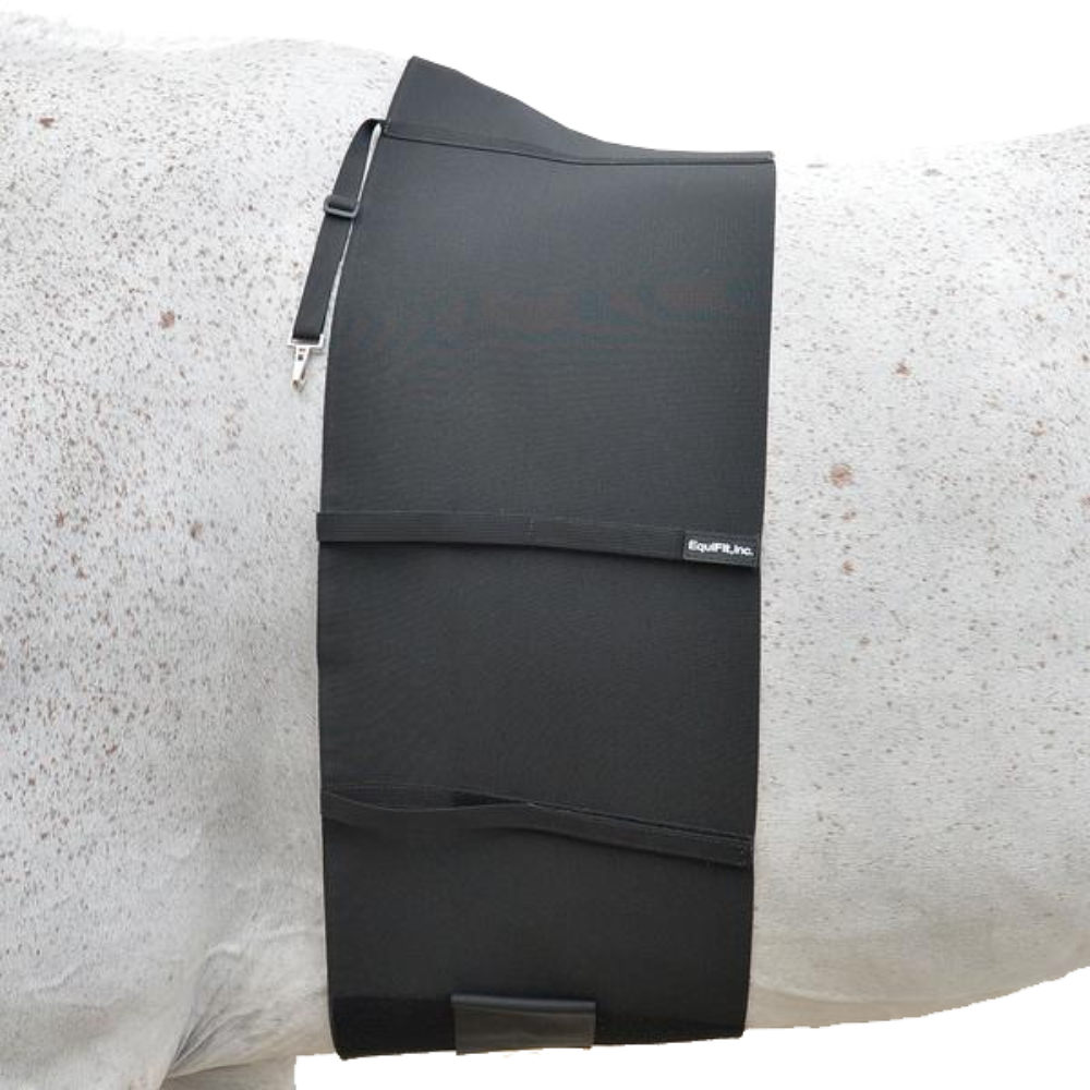 BellyBand for Spur Protection by EquiFit