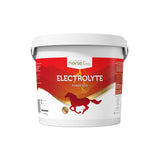 Electrolyte Power Plus by HorseLinePRO
