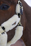 Field Safe Headcollar TERRIS  by Equiline