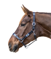 POLO LEATHER HALTER by Waldhausen