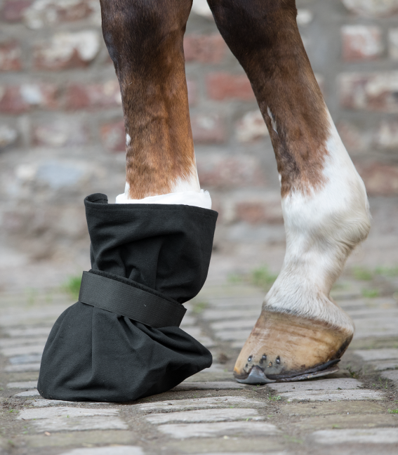 PROTECTION FOR HOOF DRESSINGS by Waldhausen