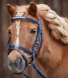 LUCKY HEART SNAFFLE BRIDLE by Waldhausen