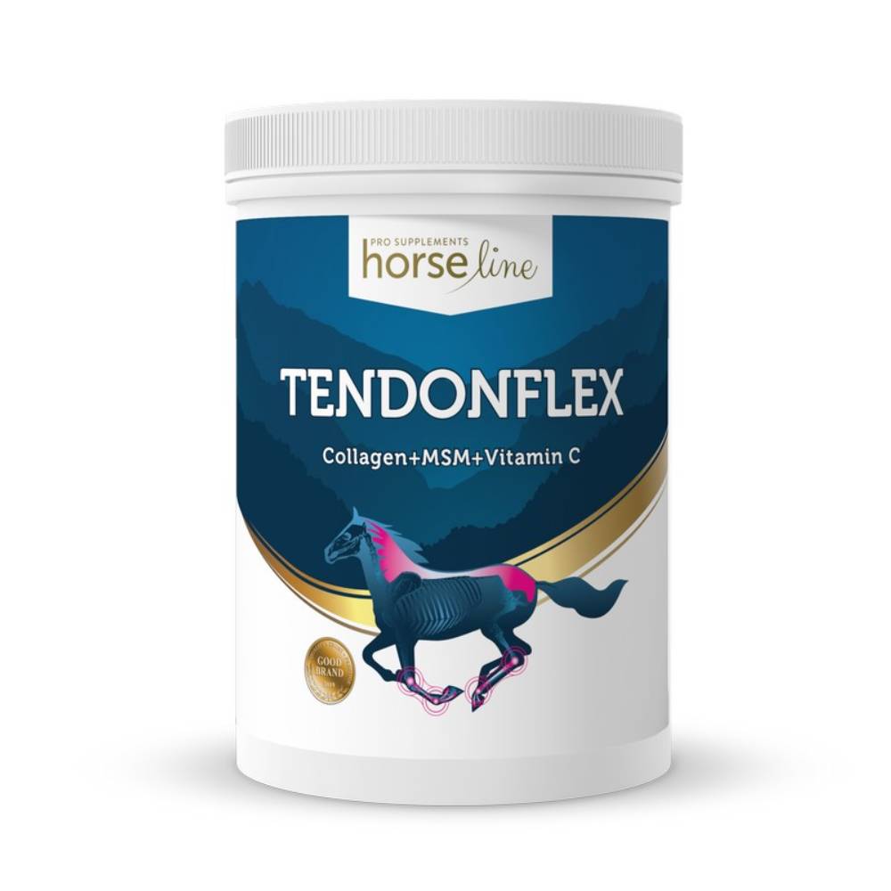 TendonFlex by HorselinePro
