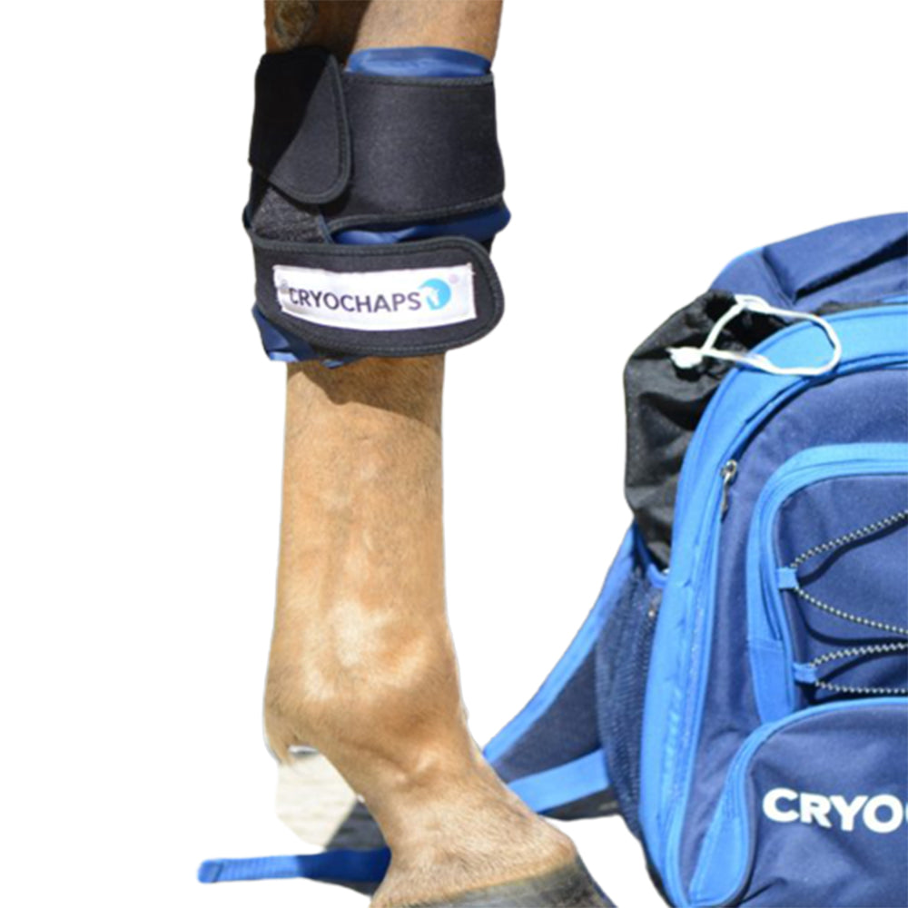 Absolute Cooling Wraps by Cryochaps