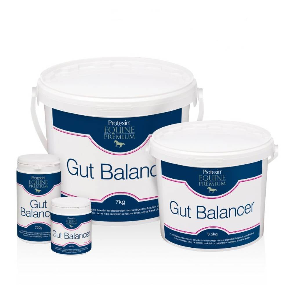 Gut Balancer by Protexin Equine Premium