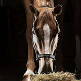 Halter TIMMY by Equiline