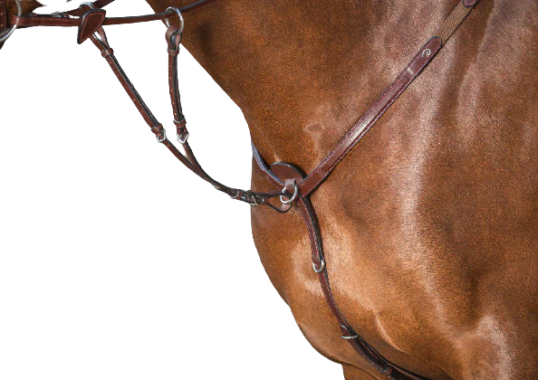 Dy'on New English Running Martingale Attachment NE07A (Ex Display)